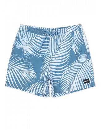 Men's 17" Cannonball Lined Volley Swim Trunks