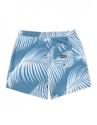 Men's 17" Cannonball Lined Volley Swim Trunks